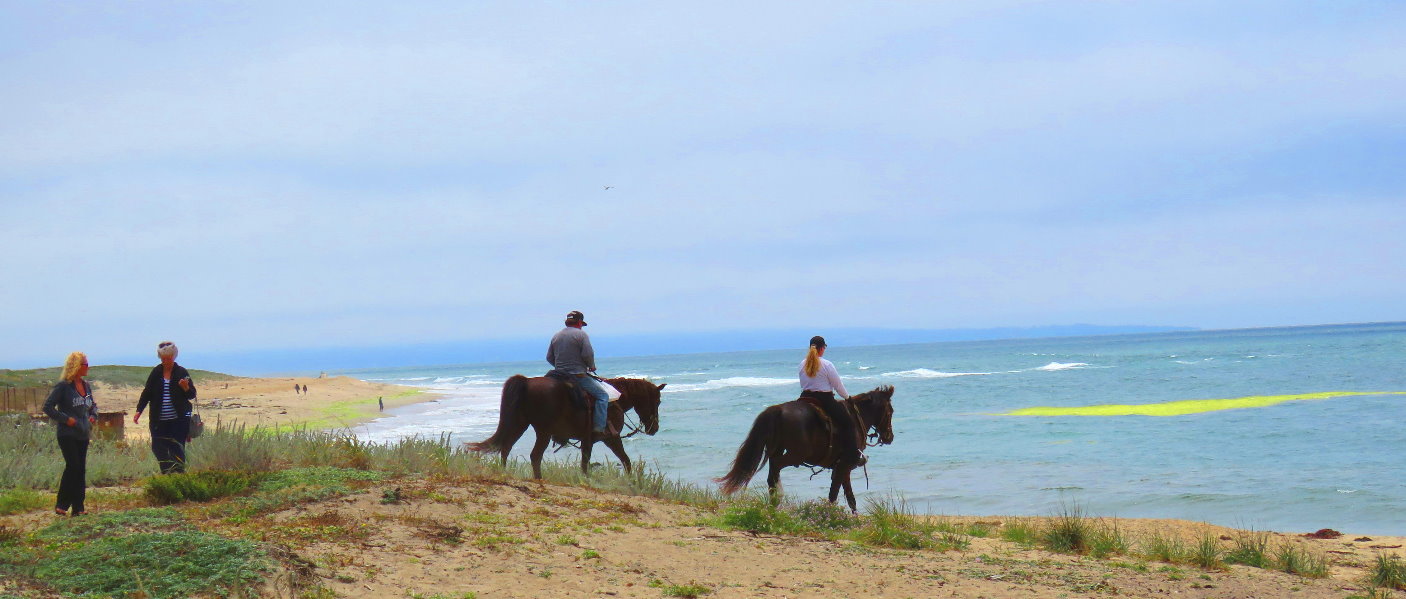 Paseos a caballo por  la playa cerca de San Francisco